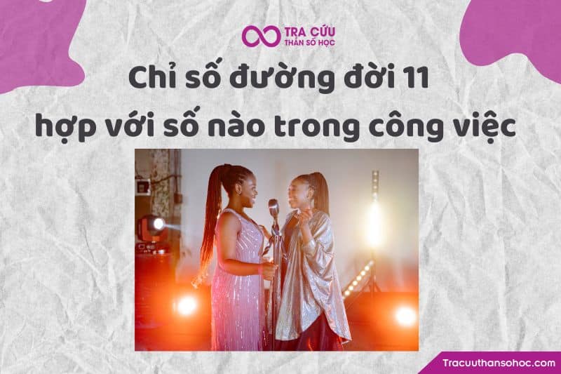 Chỉ số đường đời 11 hợp với số nào trong công việc