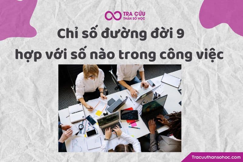 Chỉ số đường đời 9 hợp với số nào trong công việc