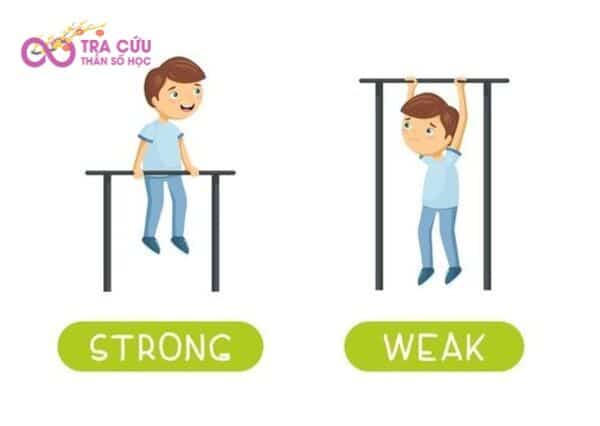 Nhóm người bảo hộ (ESTJ) có những điểm mạnh và hạn chế nhất định